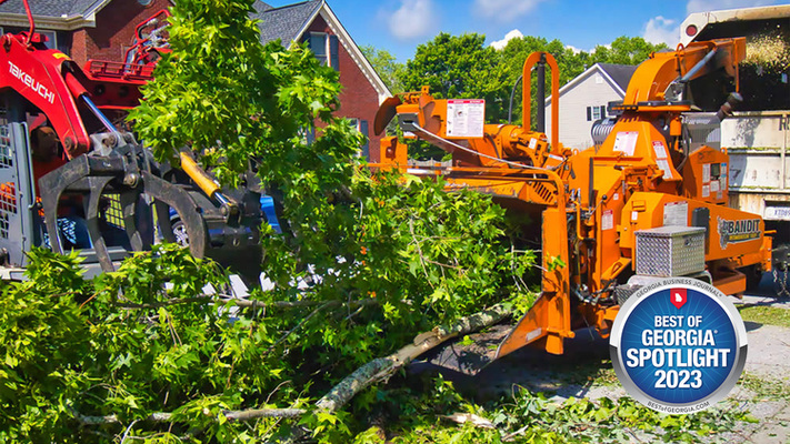 Driscoll Tree Service: Blending Expertise with Nature's Needs
