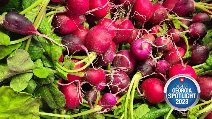 Experience the Freshness: How Better Fresh Farms is Redefining Farm-to-Table