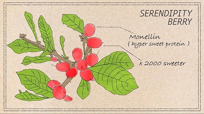 A New Sugar Is Rushing To The Scene