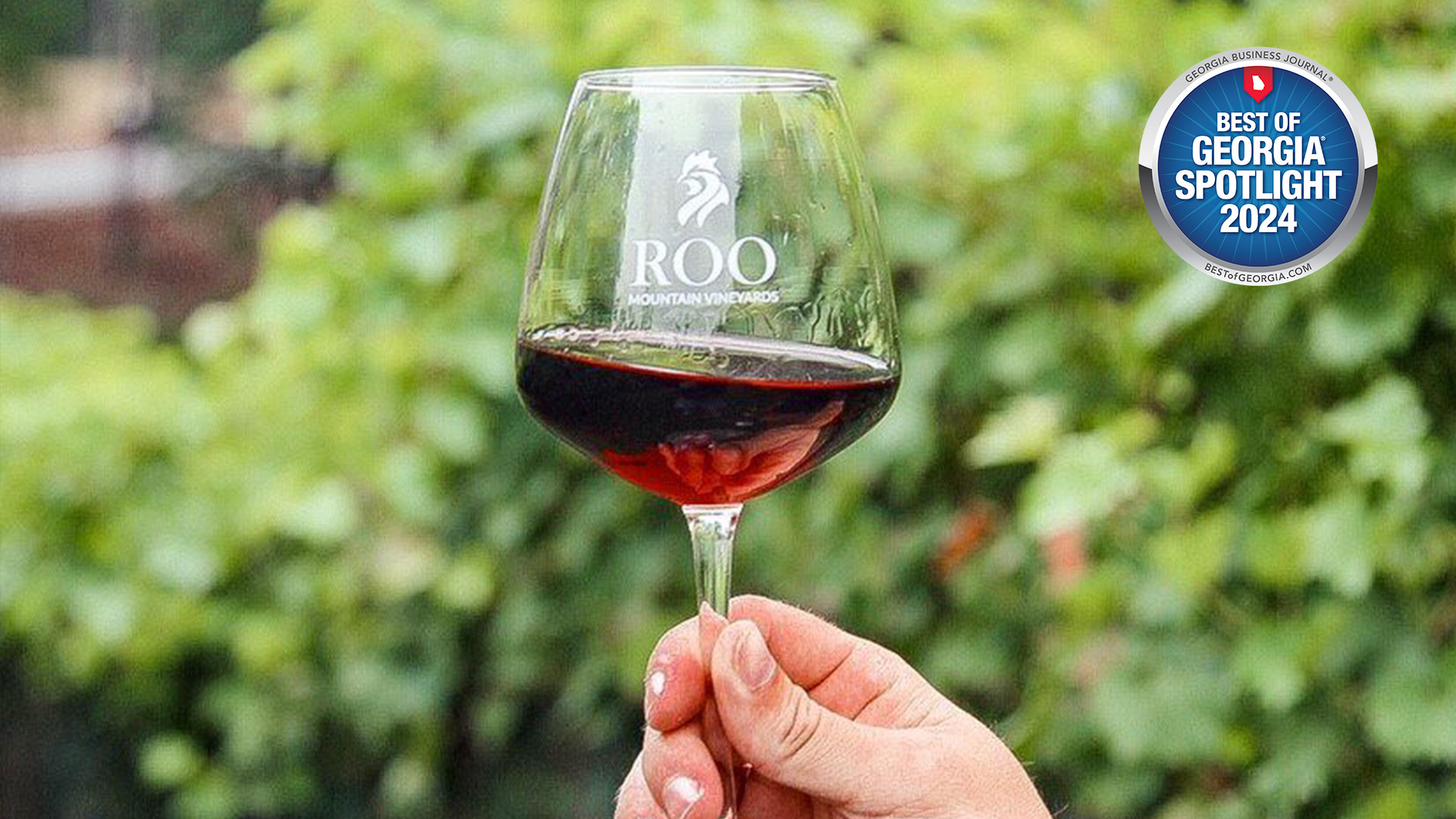 Roo Mountain Vineyards: Where Wine Meets Unforgettable Moments