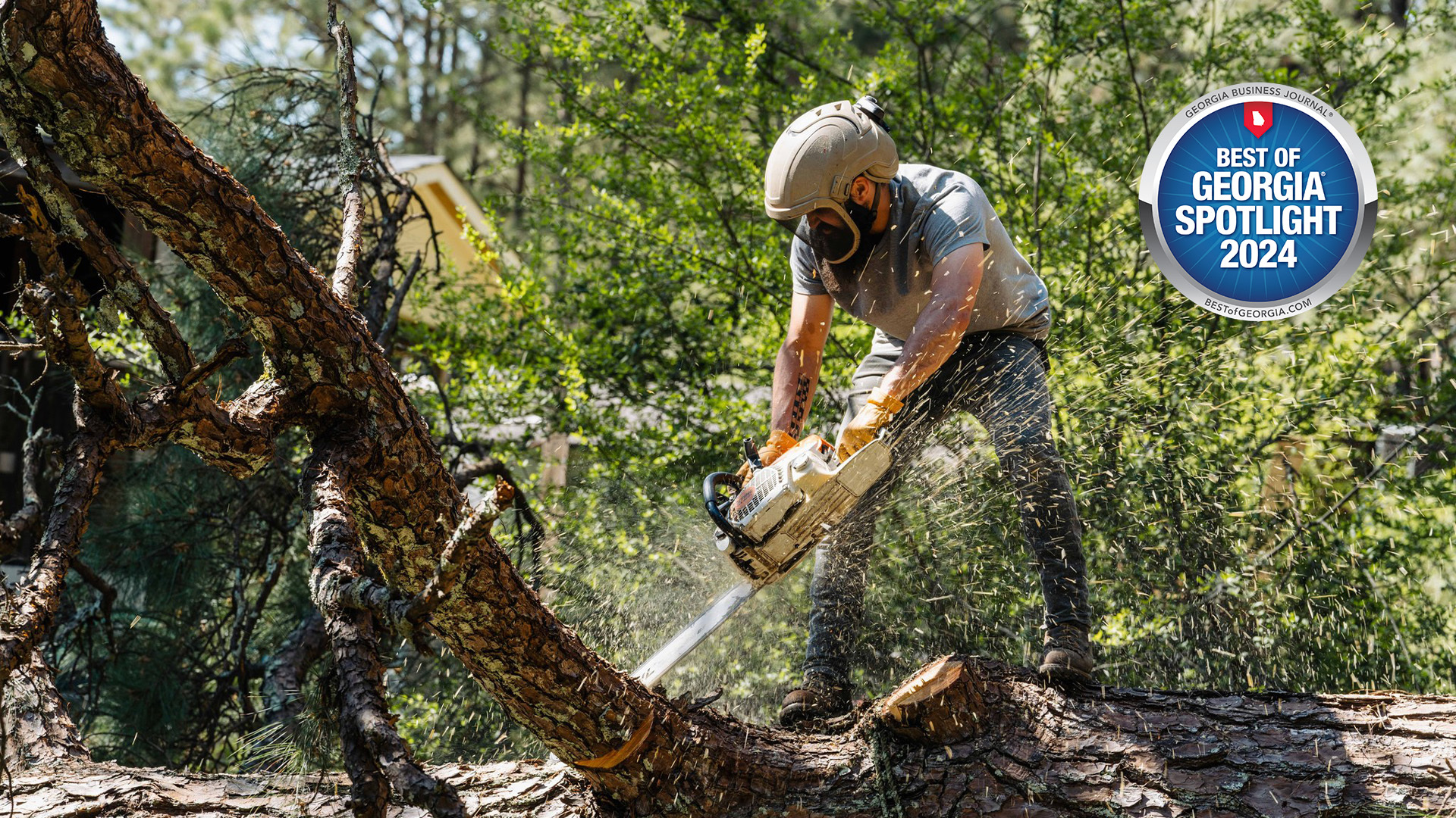 From Stump to Summit: Georgia Pro Tree Services Keeps Yards Safe and Stunning