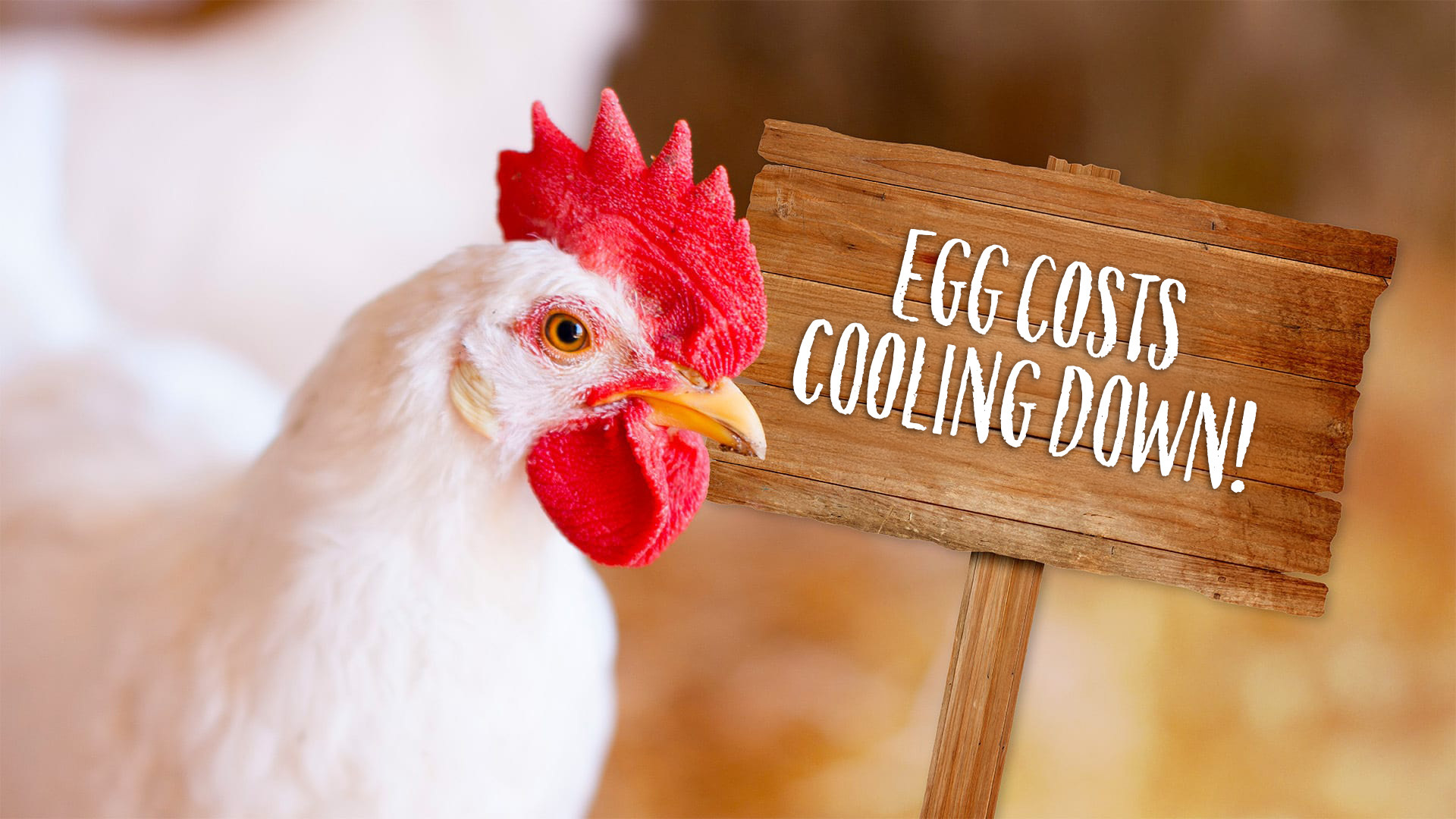 Egg Prices Starting to Crack!