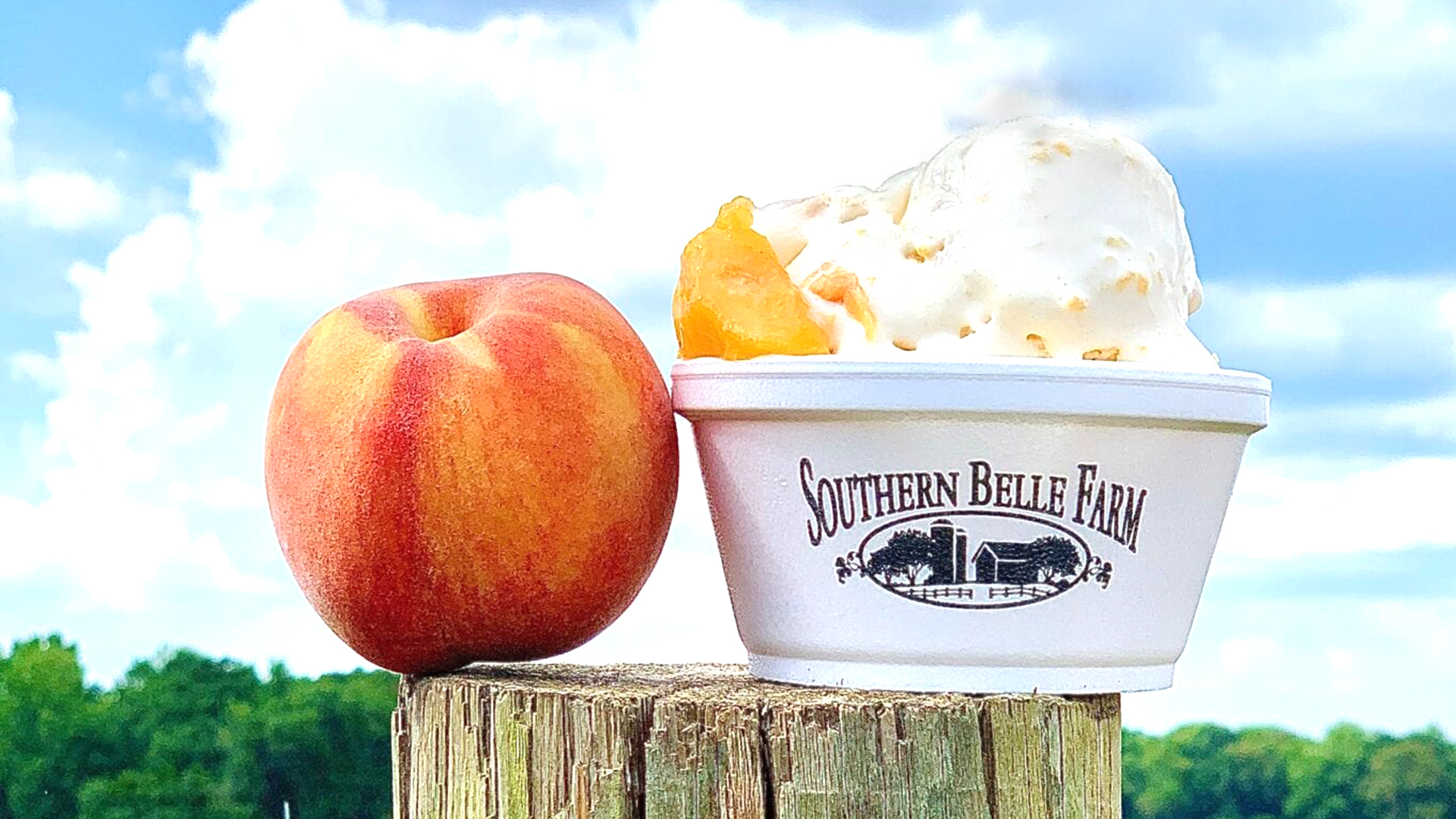 Pick Your Own Adventure!