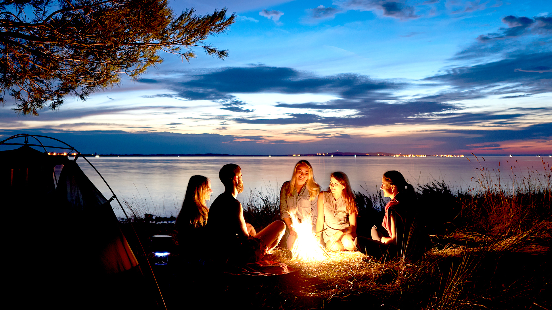 Campfire Chats + Marshmallows!