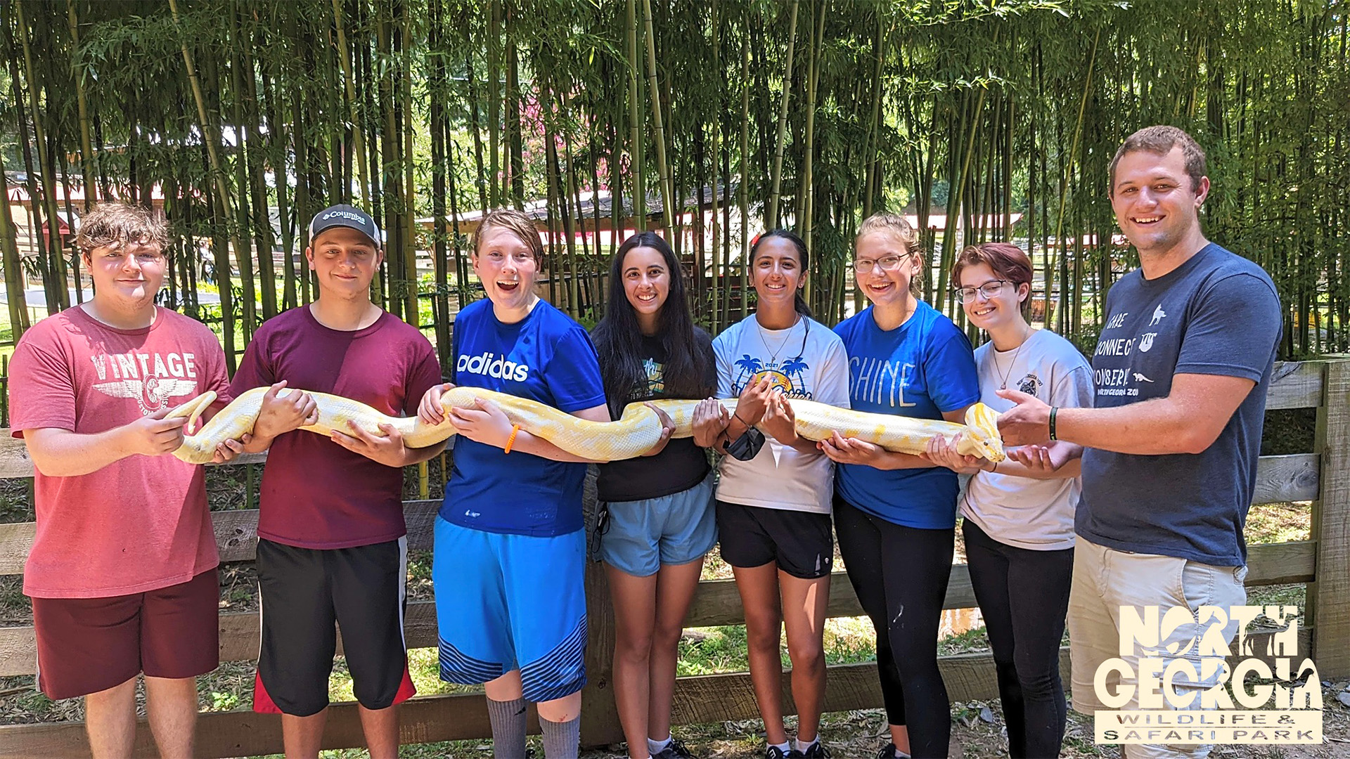 No WiFi, Just Wildlife