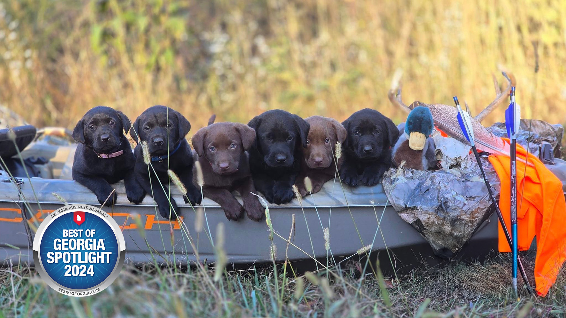 Searcy Farm Retrievers: Building Bonds, One Pup at a Time